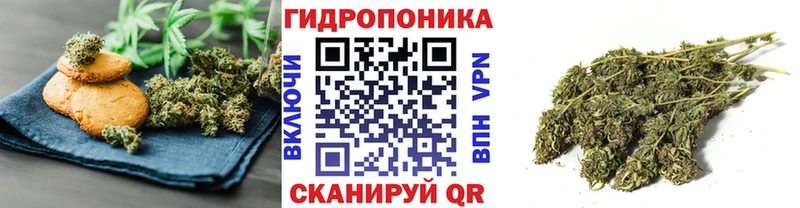 наркота  Чухлома  Печенье с ТГК марихуана 